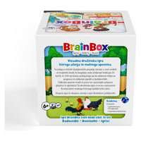 BrainBox Ljubljenčki – Zabavna in poučna igra spomina o hišnih ljubljenčkih!